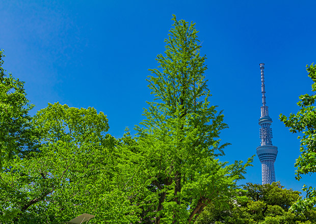 錦糸公園